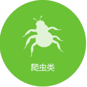 螨蟲防治